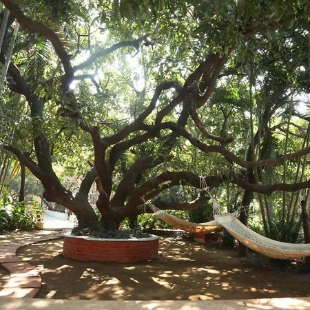 Outpost@Alibaug Hotel Alibág Kültér fotó